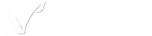 001 logo finanzplanung eco gmbh internet 002